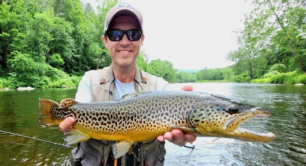 Complete Guide to Trout Fishing in Connecticut Best Fishing in America