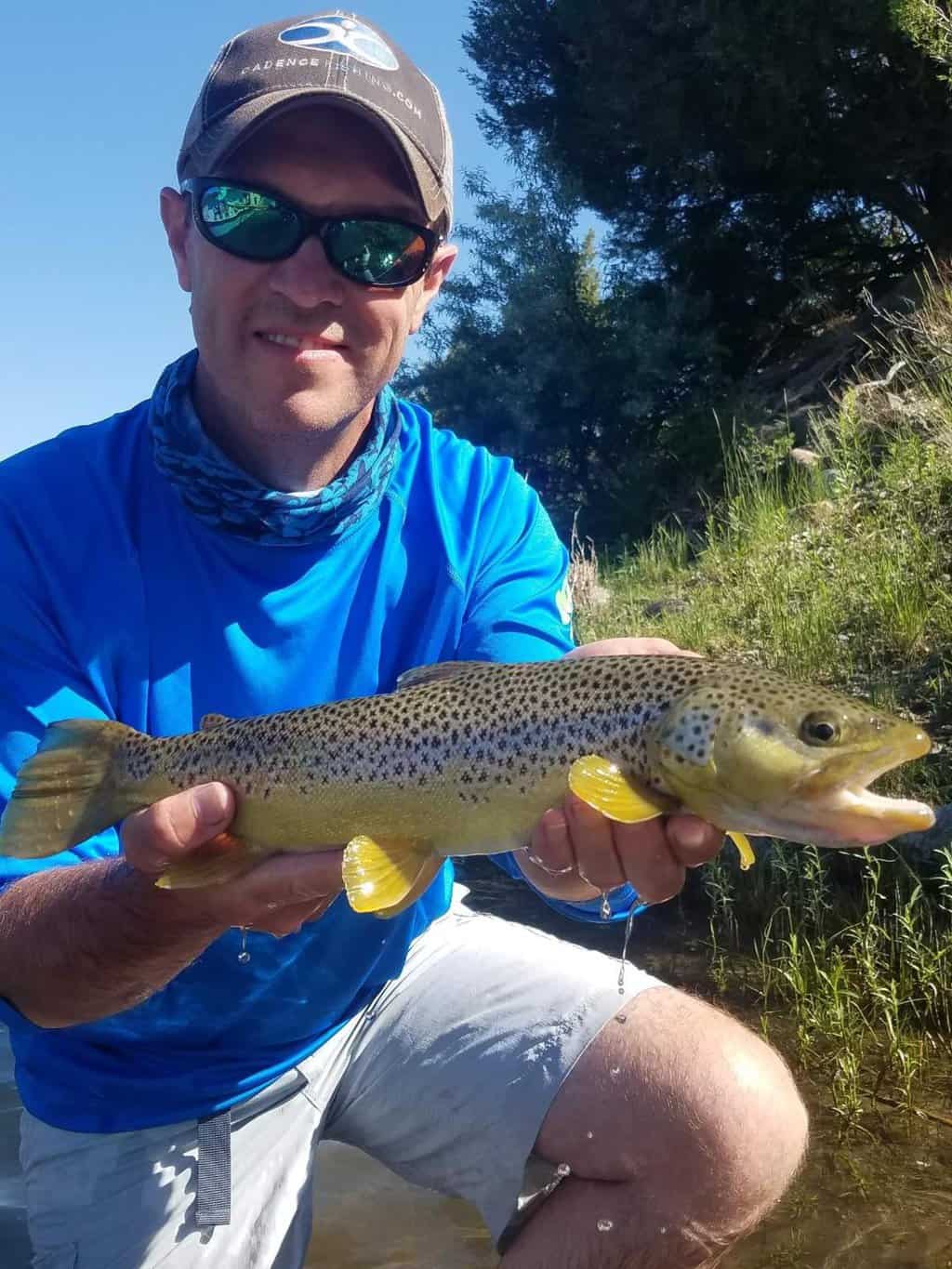 Complete Guide to Trout Fishing in Connecticut Best Fishing in America