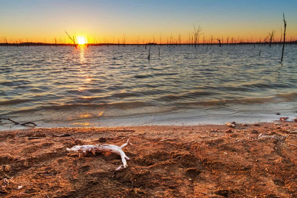 Bare trunks and tree branches stick out of the water at Truman Lake with the setting sun behind.