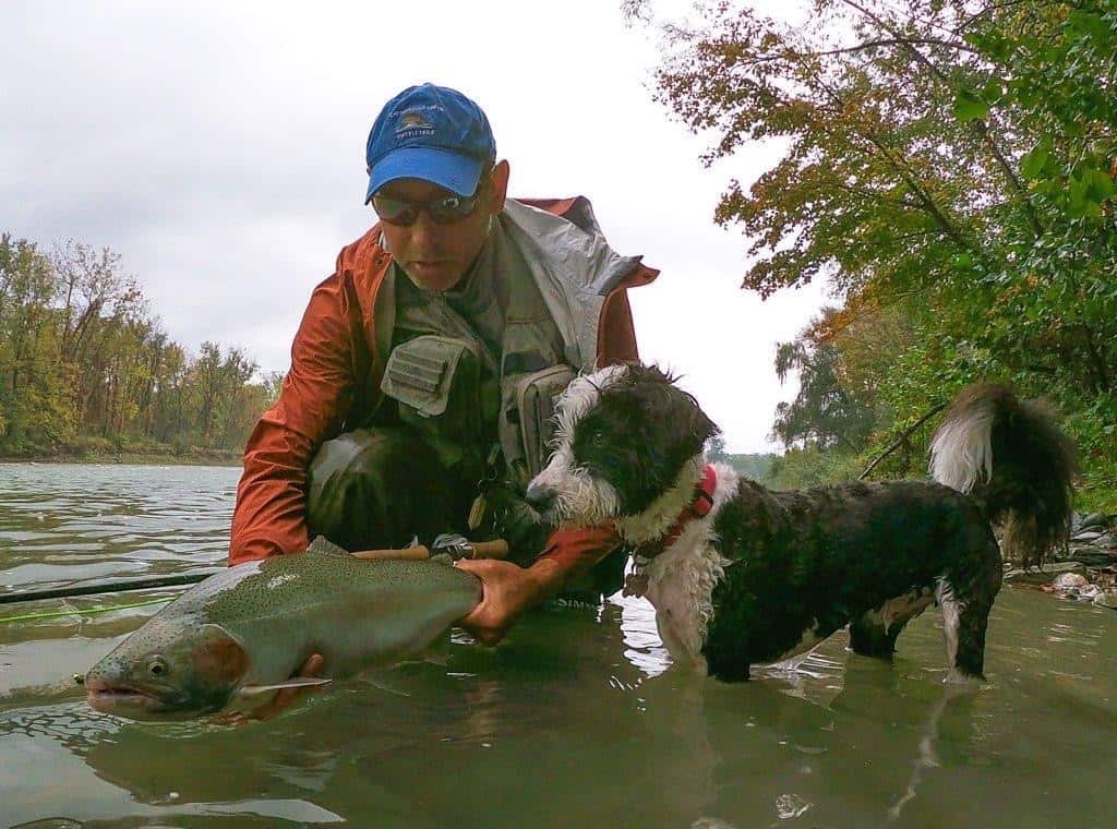 A man holds a freshly caught steelhead ready for release into a Western New York river while a small dog looks curiously at the fish.