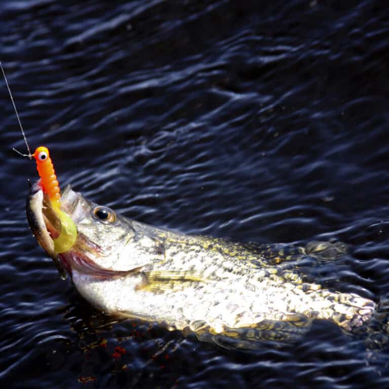 9 Best Crappie Fishing Lakes in Indiana Best Fishing in America