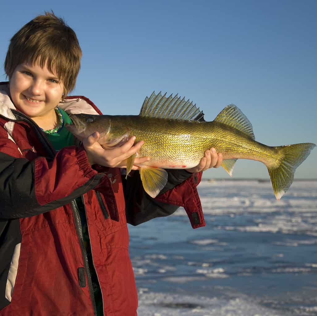 A young, smiling angler holds up a large walleye while standing on a frozen lake where the child was fishing.