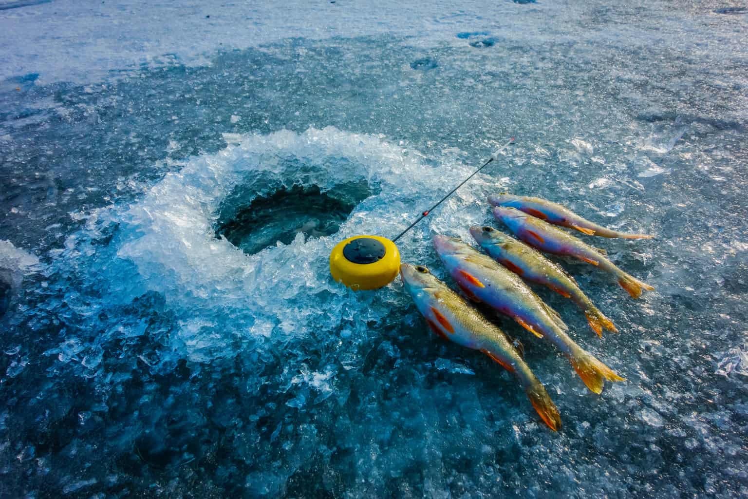 Ice Fishing: Simple How-To Techniques and Tips - Best Fishing in America