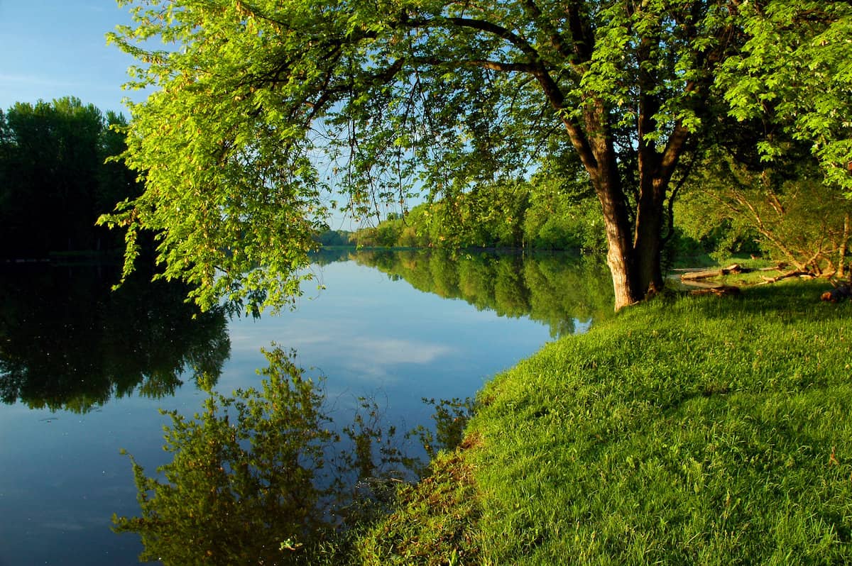 Missisquoi River flowing calmly through trees and meadows in the national wildlife refuge of the same name near Lake Champlain.