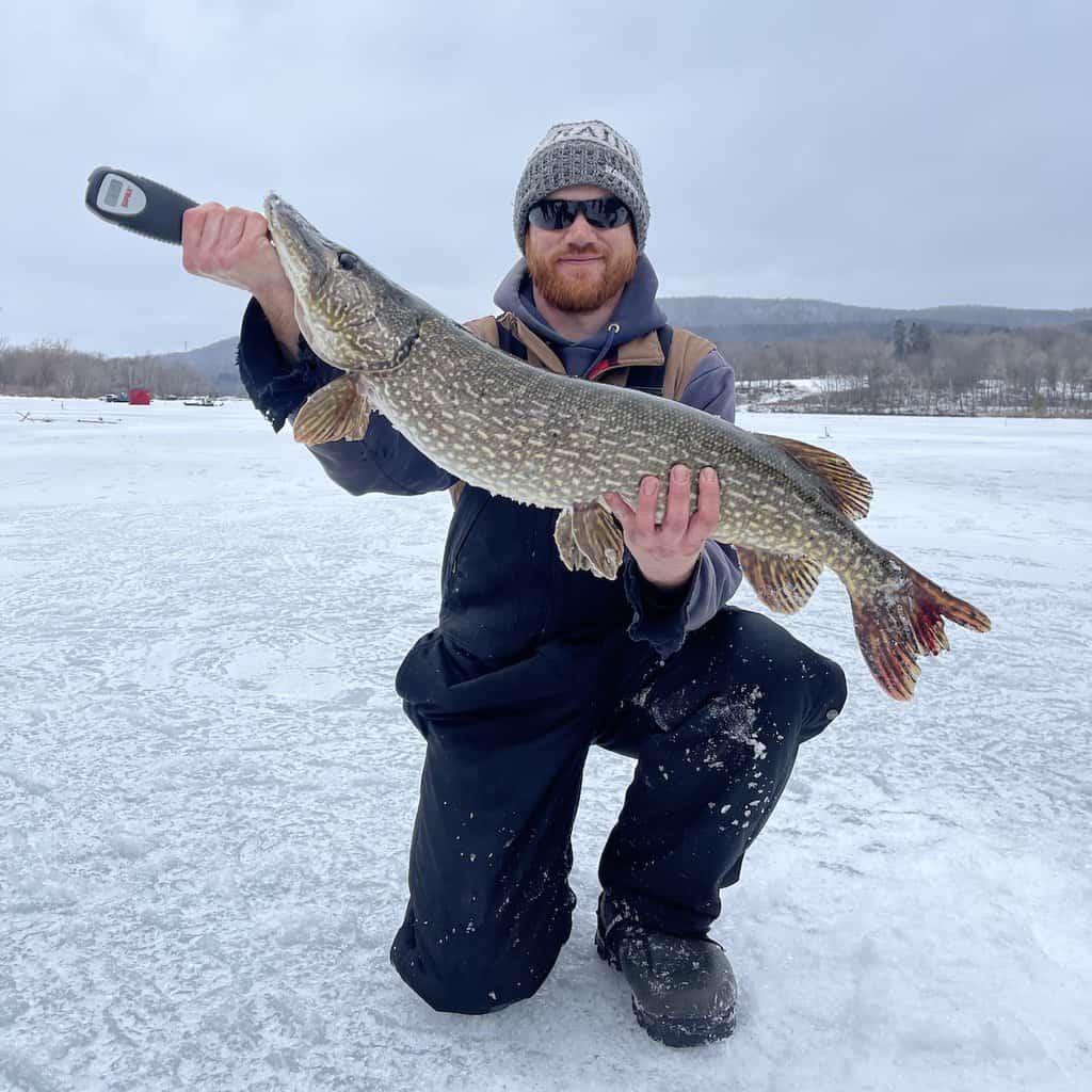 Man holding a giant northern pike