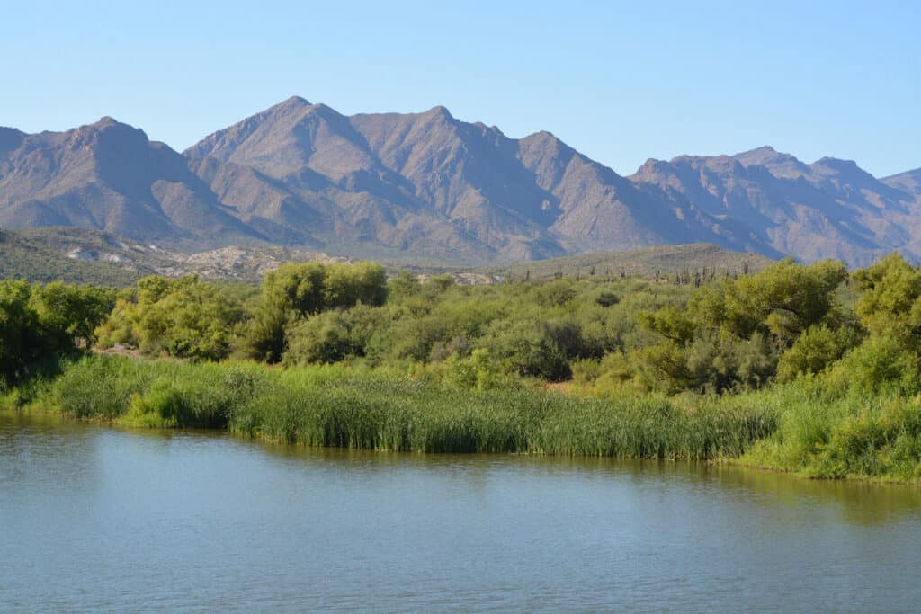 The shoreline of Horseshoe Lake lined with cattails with rugged mountains rising up in the distance.