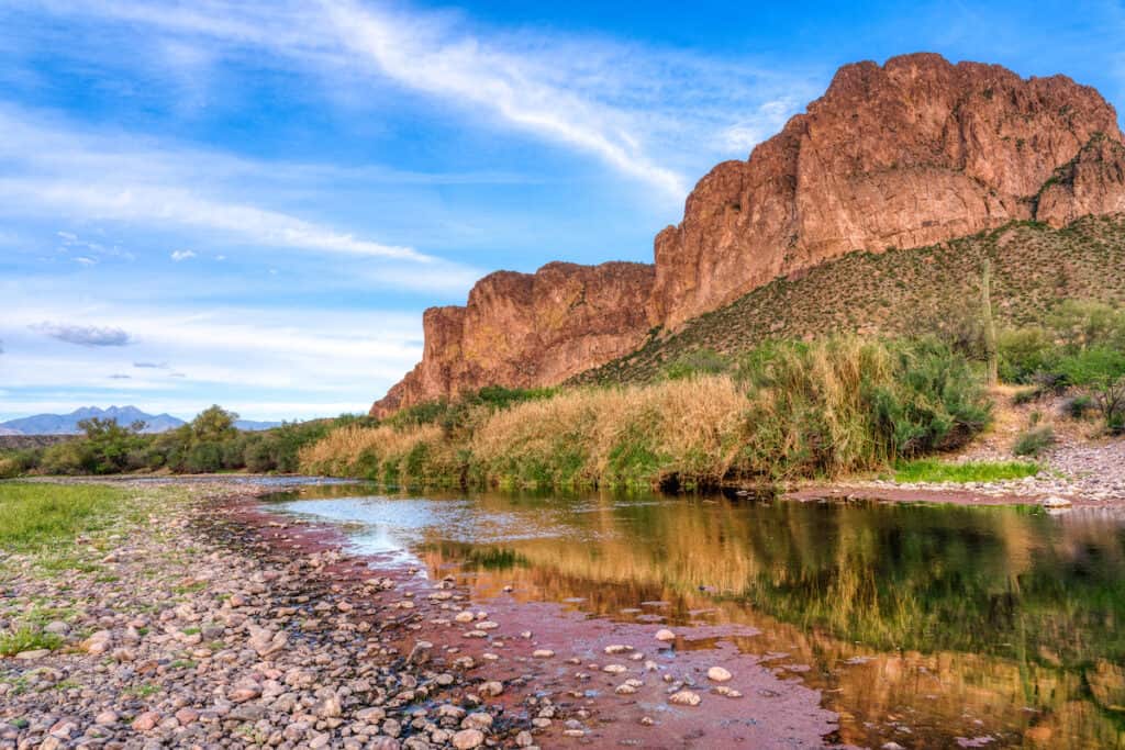 Lower reaches of the Salt river outside of Mesa Arizona.
