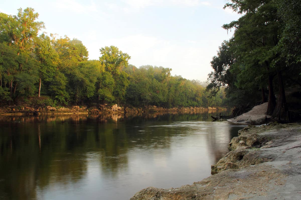 The Suwannee River in Suwannee State Park in Florida offers some of the world's only Suwannee bass fishing.