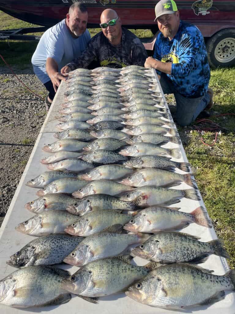 Three men kneel at the far end of a long table covered in crappie they caught fishing at Greers Ferry Lake in Arkansas.