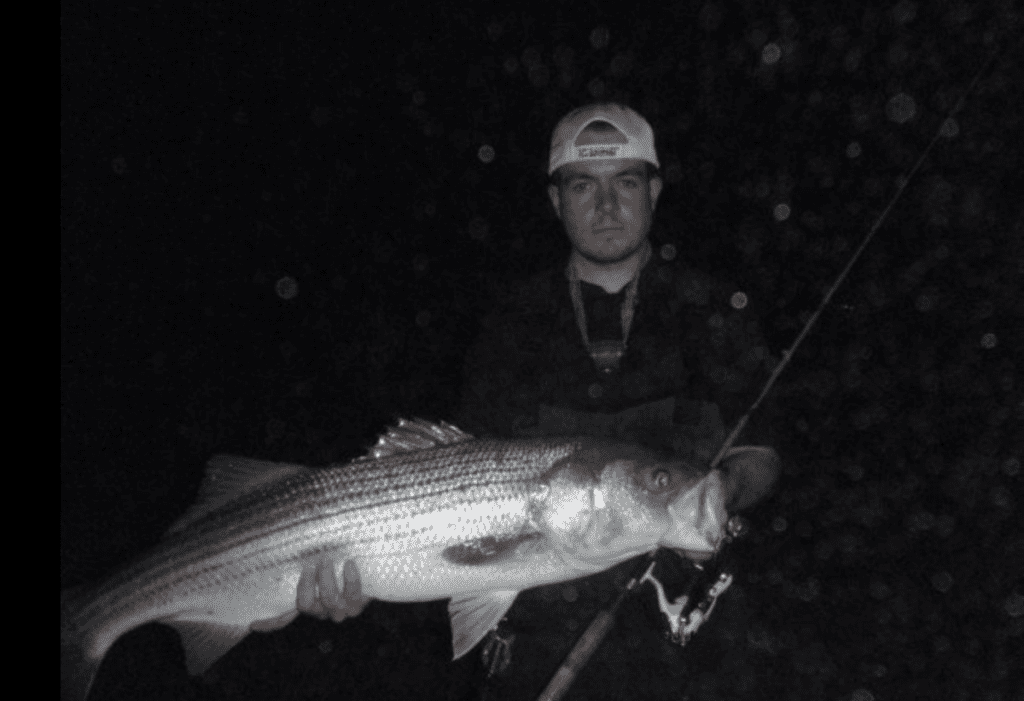 Angler holds a huge striped bass he caught on Cape Cod, holding a fishing rod and wearing a cap backwards, with a dark background at night.