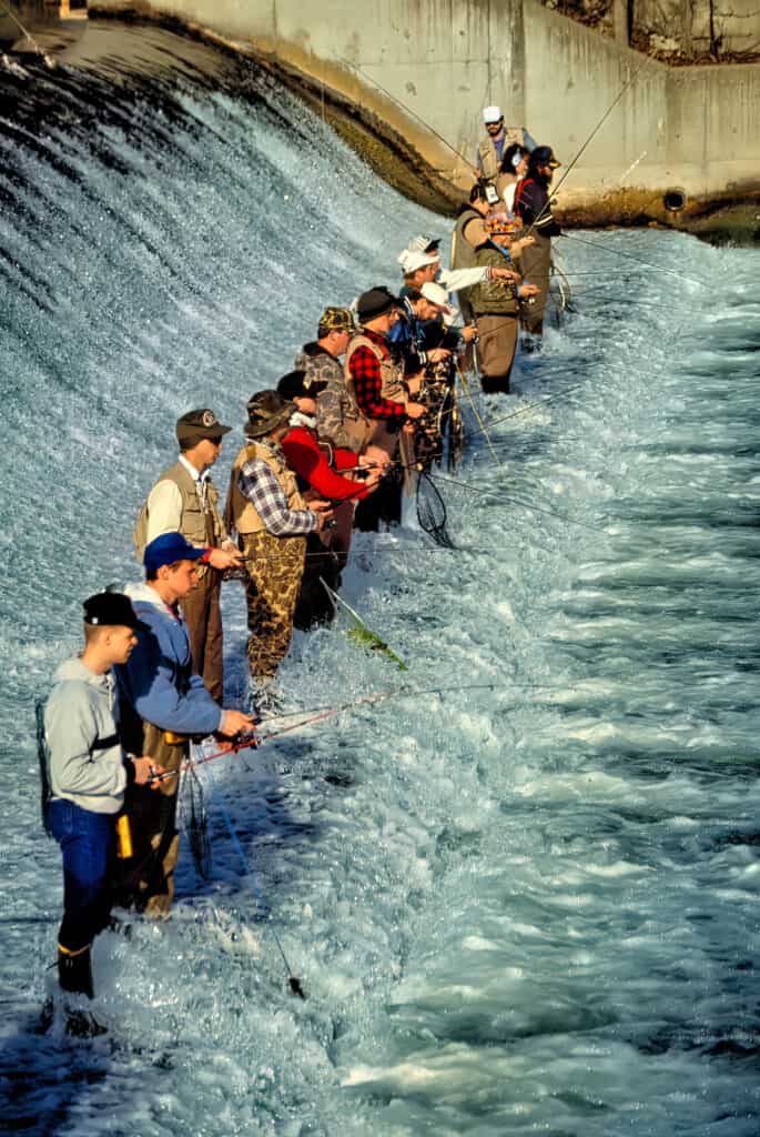 Trout fishermen gather at a prized spot along the base of the dam for opening day of Missouri trout season at Bennett Spring State Park near Lebanon, Missouri.
