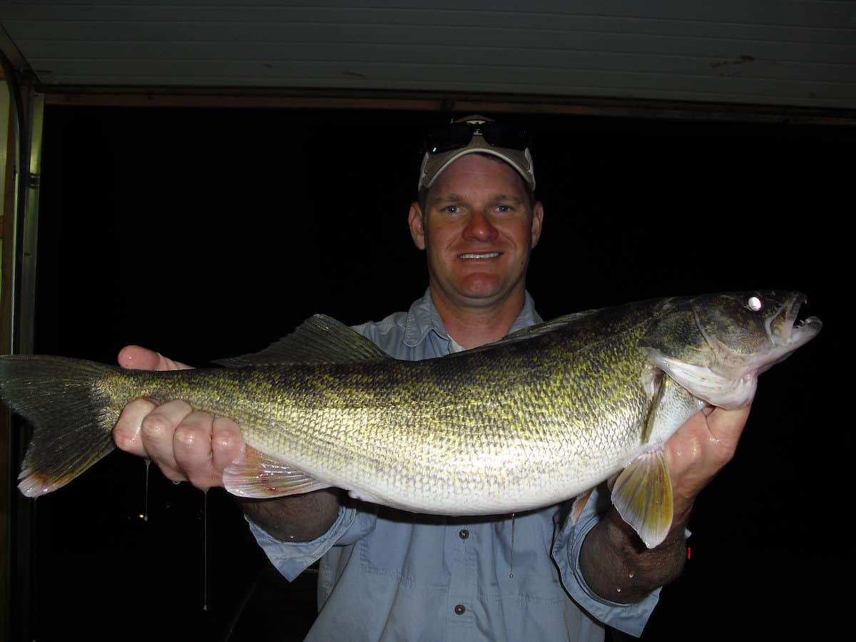 13 Best Walleye Fishing Lakes & Rivers in Missouri Best Fishing in