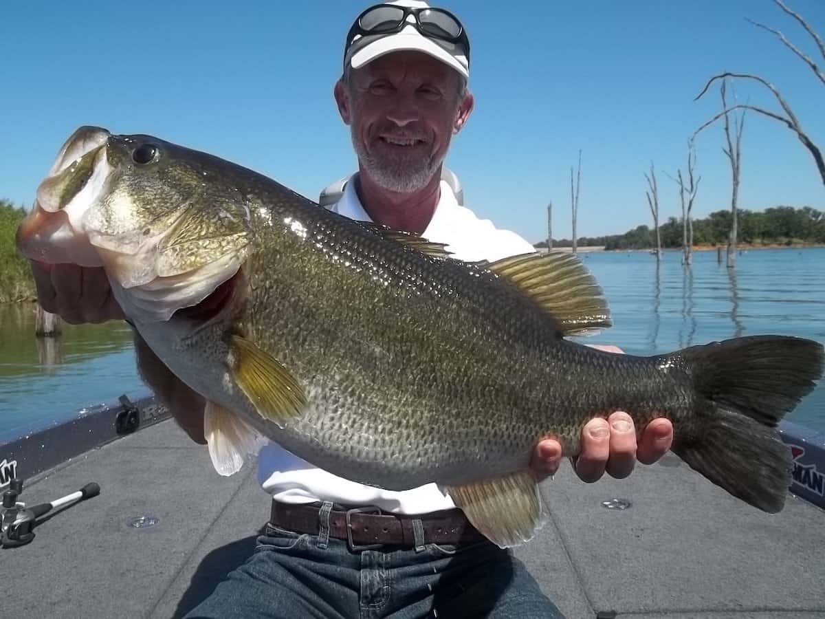 A smiling angler in a cap holds a giant bass, with standing dead timber sticking out of the water of Lake Fork in the background.