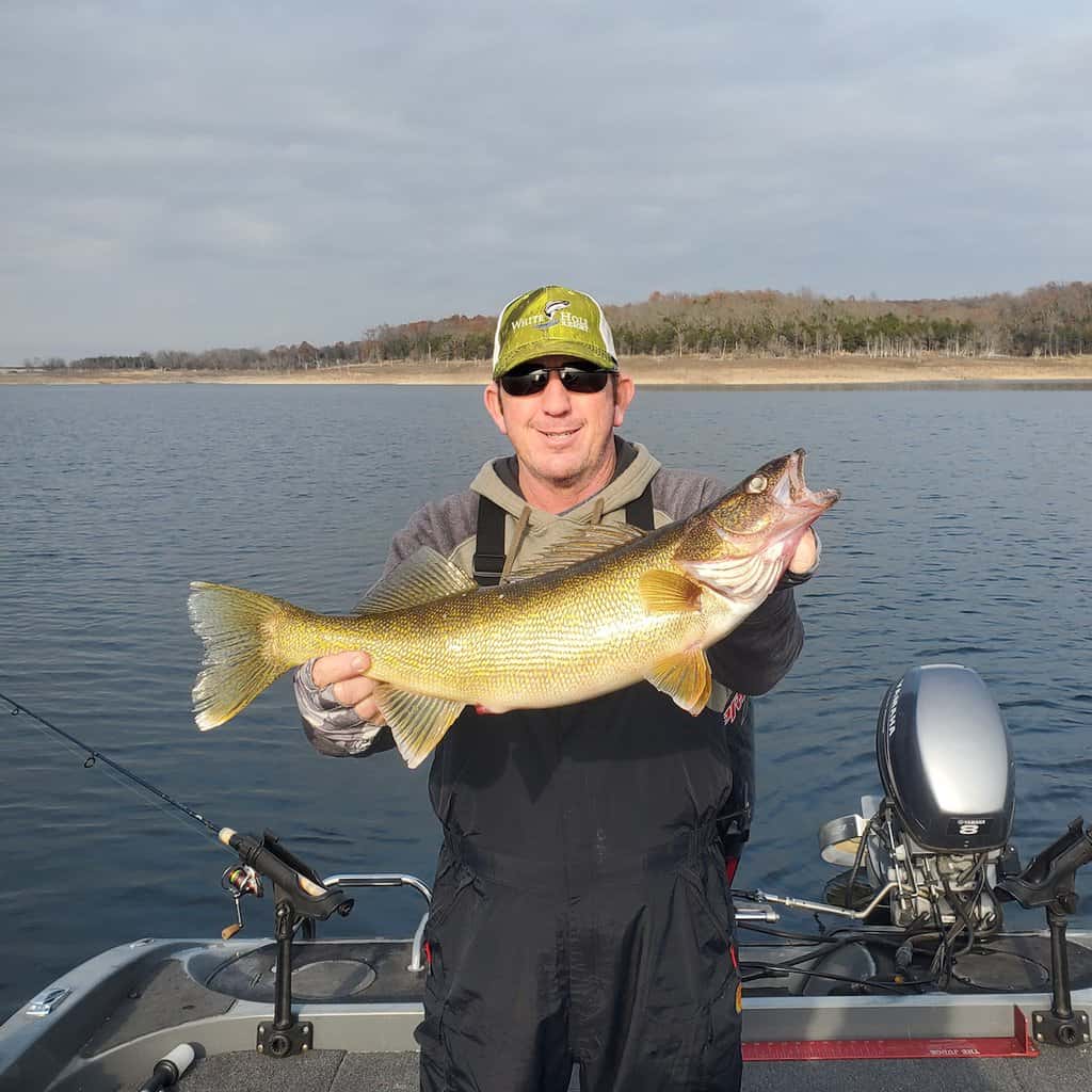 An angler standing in a boat holds a very large walleye caught fishing at Bull Shoals Lake in Arkansas, which shows in the background.