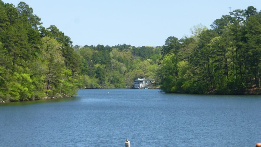 Blue water in a cove of Lake Catherine with dense woods and fallen logs on the shore, perfect habitat for great bass fishing.