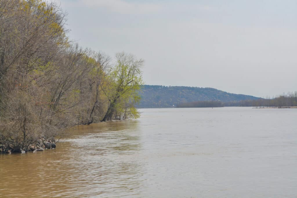 High, muddy colored water flows up into trees along the bank of Lake Dardanelle, a good bass fishing lake in Arkansas.
