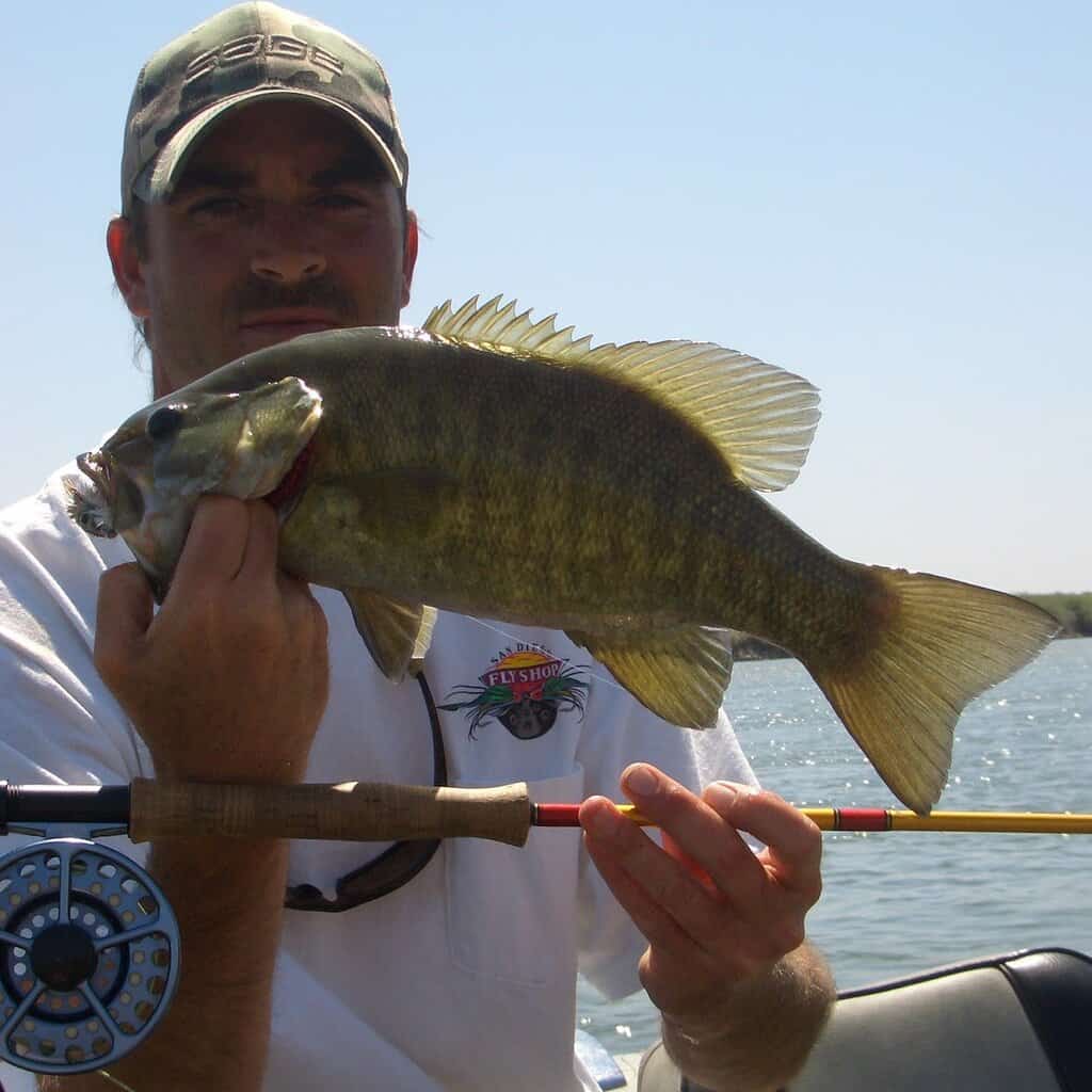 A fly fisherman holds a smallmouth bass he caught at Lake Arrowhead in California.