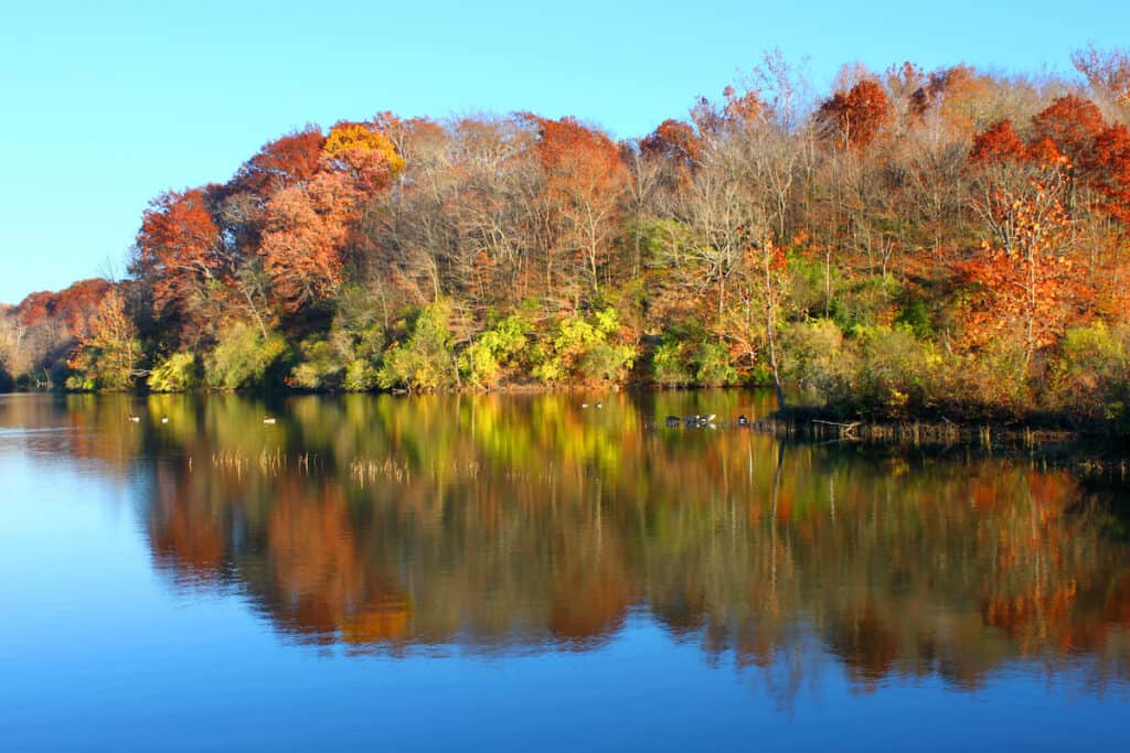 Clear Lake reflecting trees in fall colors at Kickapoo State Park in Vermilion County, one of the best places in central Illinois for trout fishing.