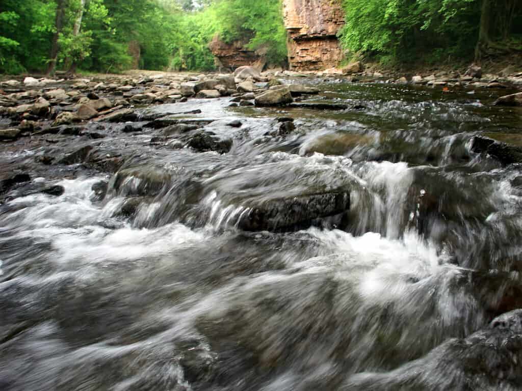 Rock Creek cascades down through a rocky, forested landscape, providing some of the best stream trout fishing habitat in Illinois.