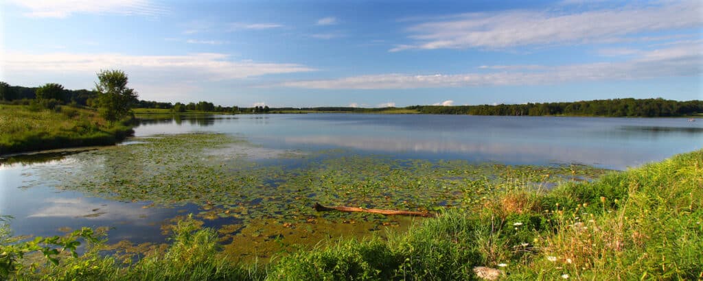 Weedy shallow water at the edge of Shabbona Lake, one of the best crappie fishing lakes in Illinois.