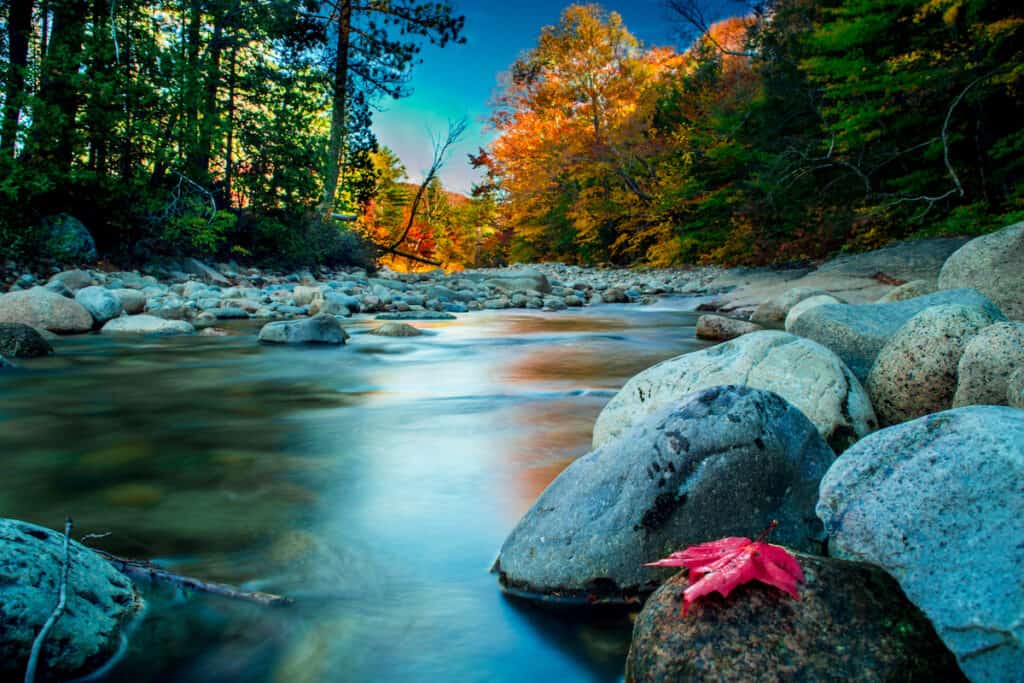 Smooth water of the Pemigewasset River flows between rocks and trees bearing the yellow and orange leaves of the fall season.