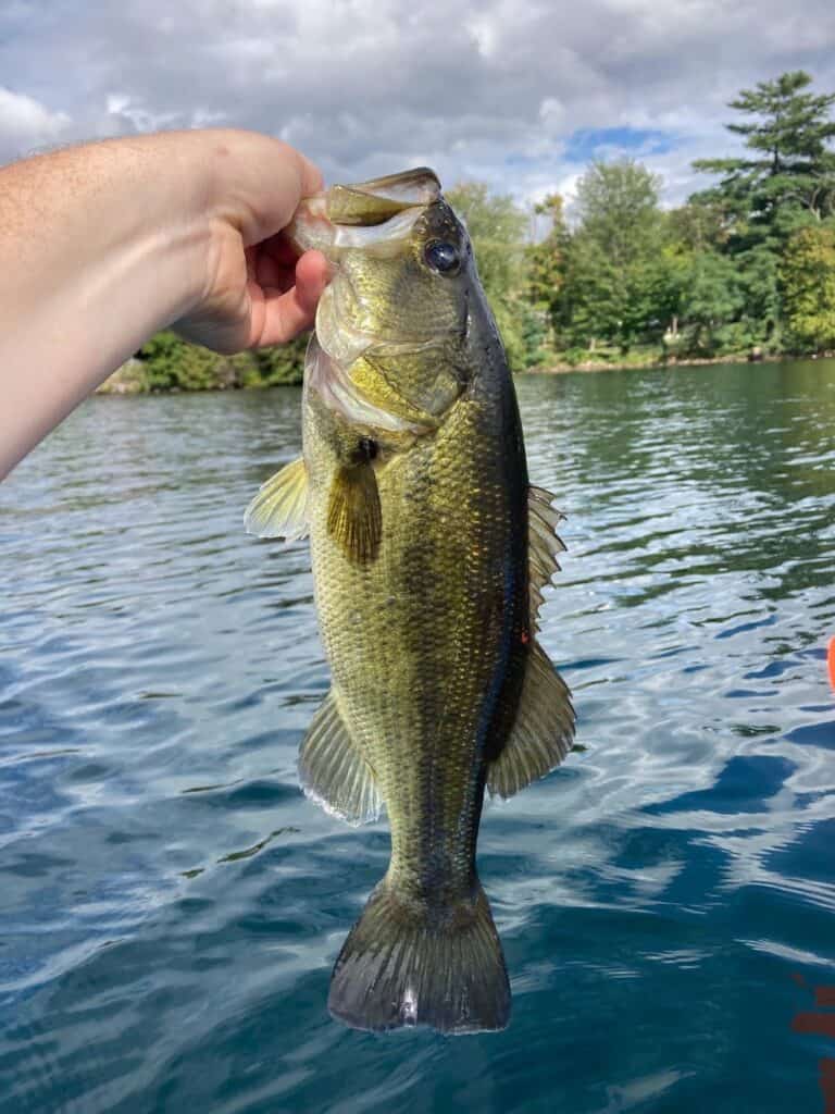 An angler's hand holds the lip of a largemouth bass caught fishing at Lake George shown in the background.