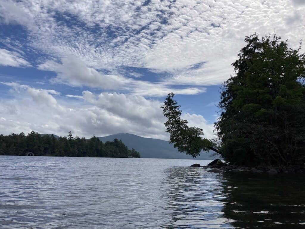 A tree leans out over the still waters of Lake George and under billowing white clouds and blue skies.