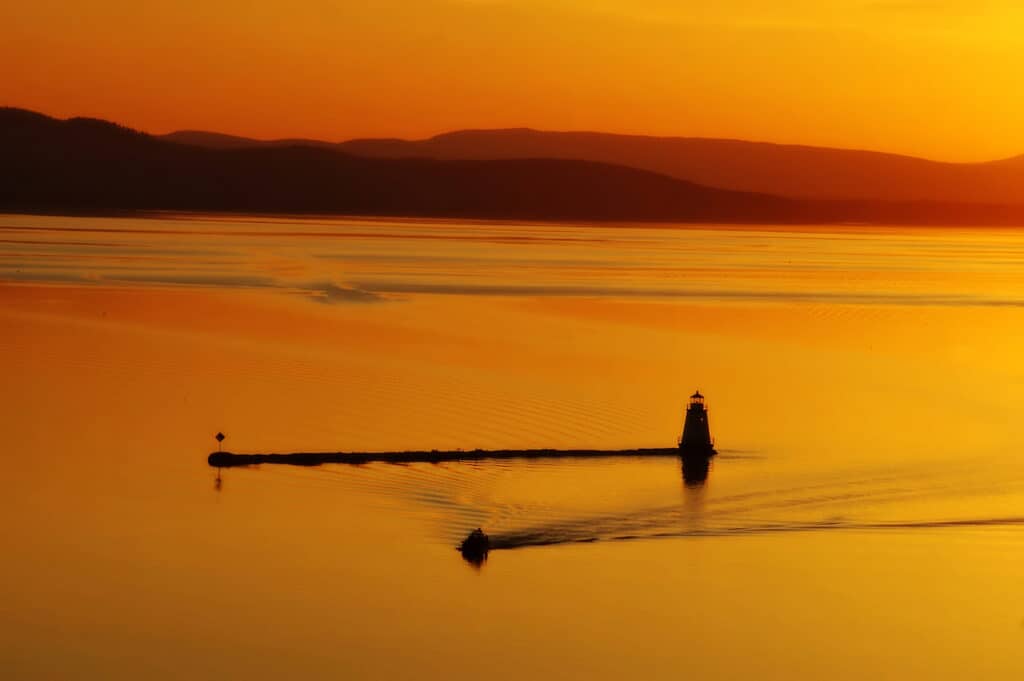 Lake Champlain Fishing 2023 Complete Angler's Guide Best Fishing in