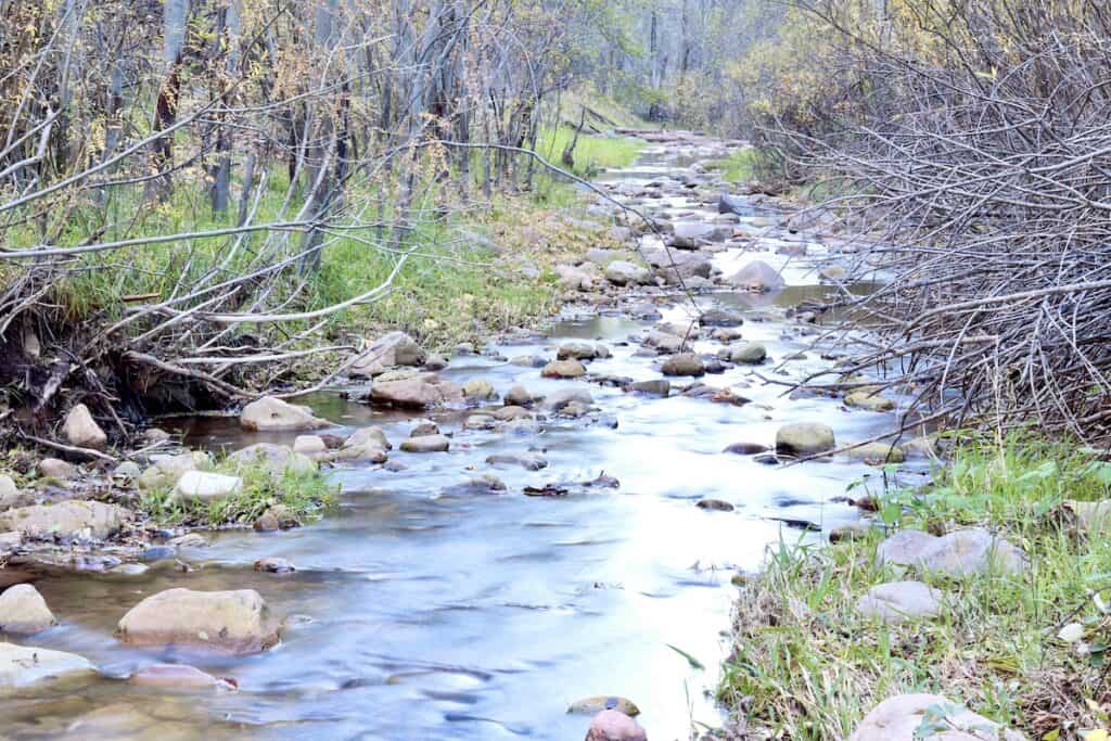 21 Best Fishing Spots Near Payson and in Gila County Best Fishing in