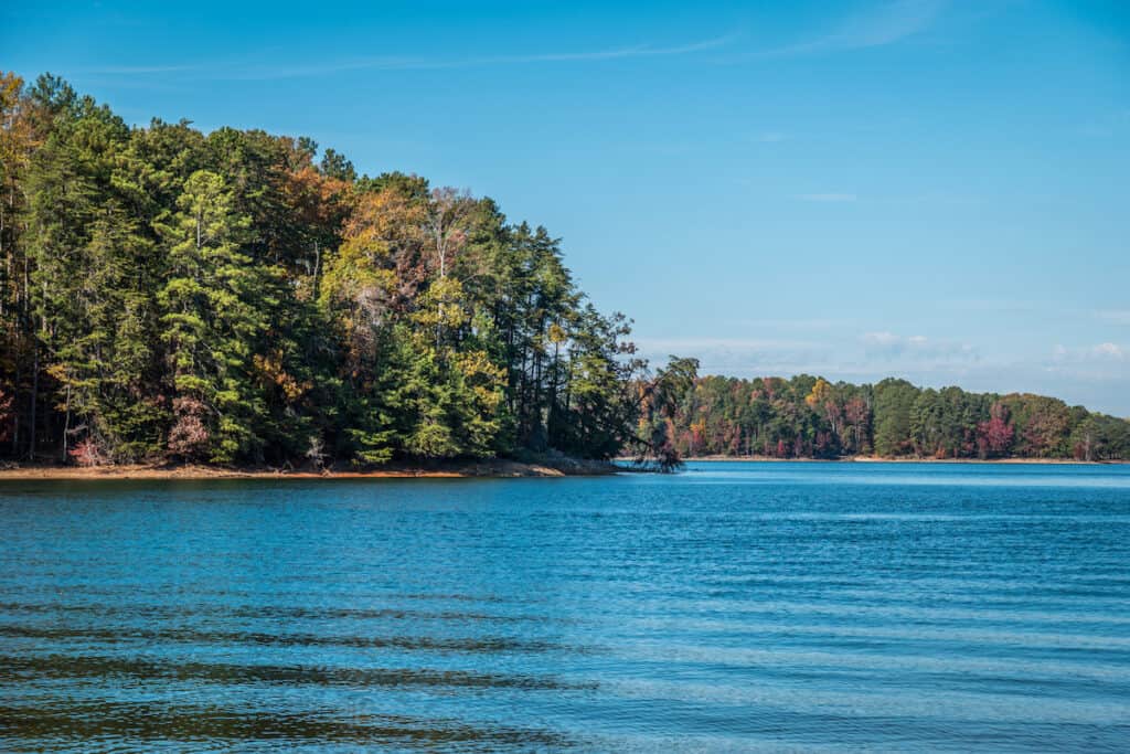 Beautiful autumn color in the woodlands along the shore of blue Lake Lanier, a popular Georgia fishing spot.