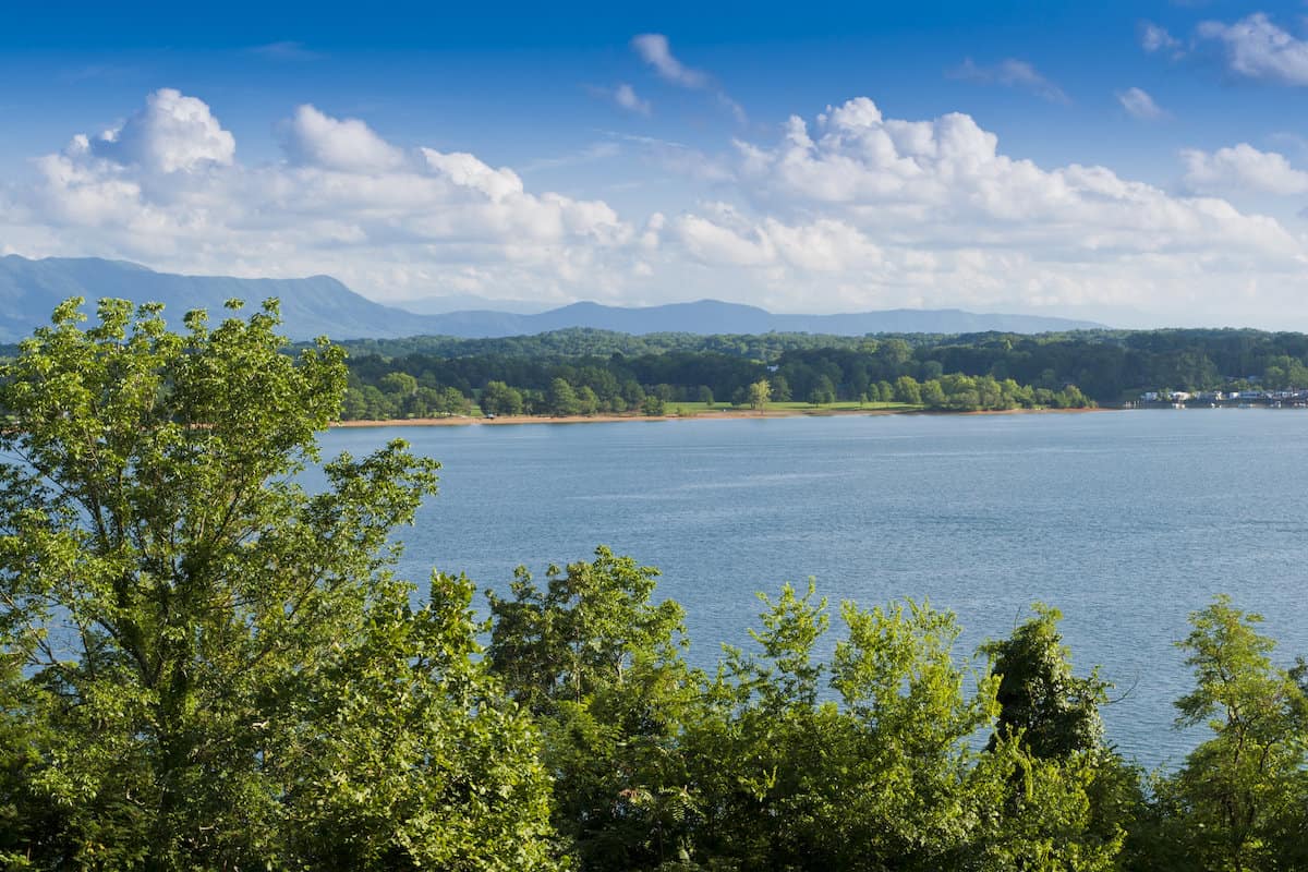 Blue water of Douglas Lake appears in the distance behind the tops of green trees.