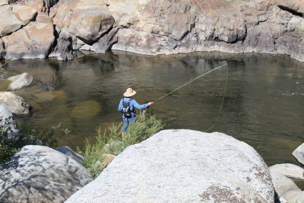 A fly angler casts into the upper Kern River with special regulations.