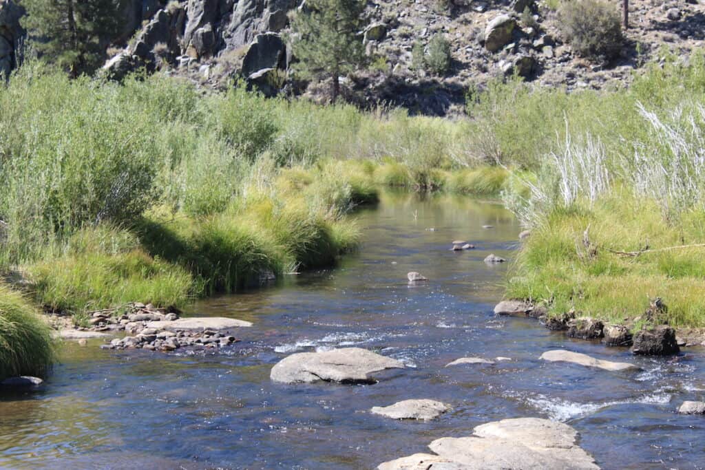 Scenic photo of the South Fork Kern River flowing among rocks, grass and small trees in the Kennedy Meadows area of the High Sierras.