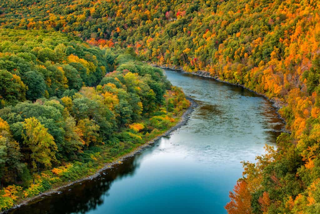 The Delaware River bends through a colorful autumn forest, near Port Jervis, New York, an area where smallmouth bass fishing is popular.