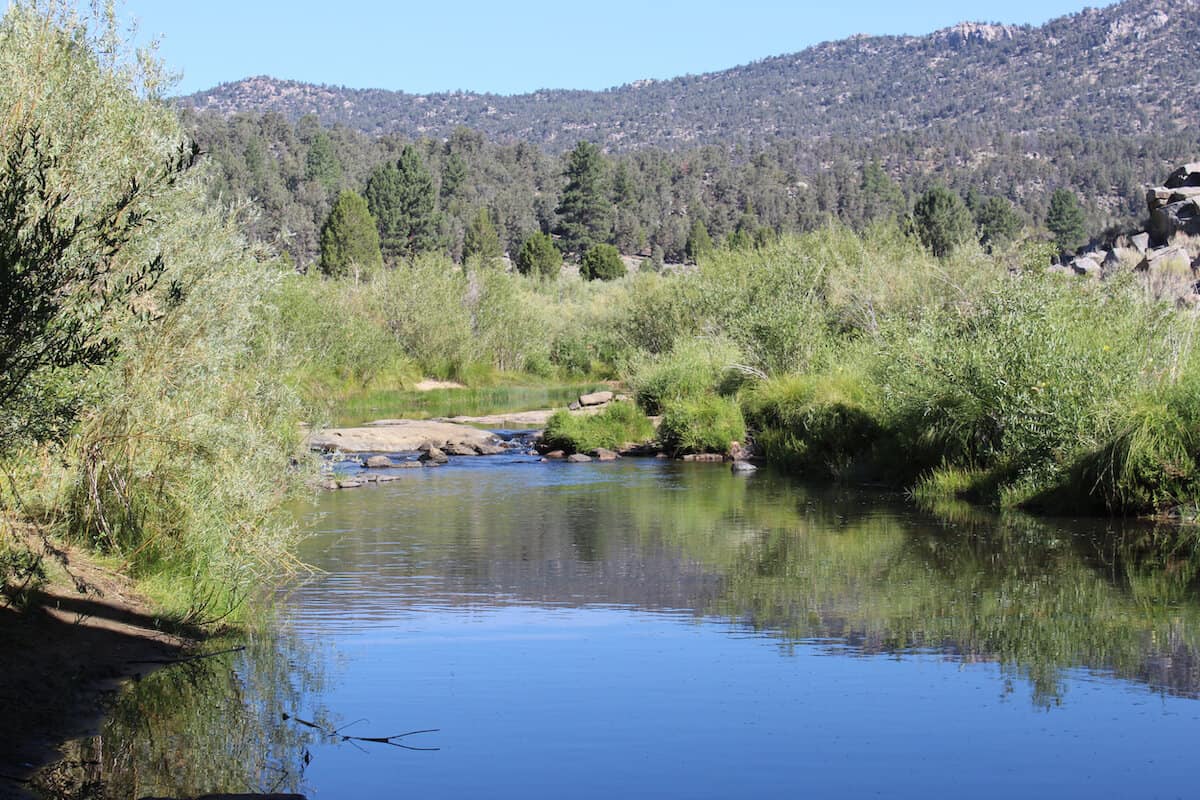 South Fork of the Kern River with shrubs along its bank and trees and hills in the background at Kennedy Meadows.