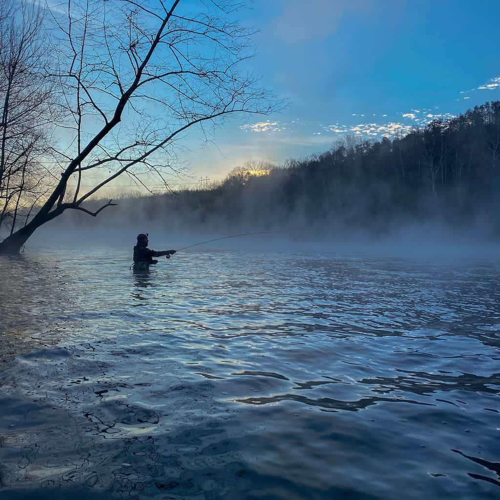 A trout angler in silhouette fishing amid fog rising from the riffles at the head of Lake Taneycomo in Missouri.