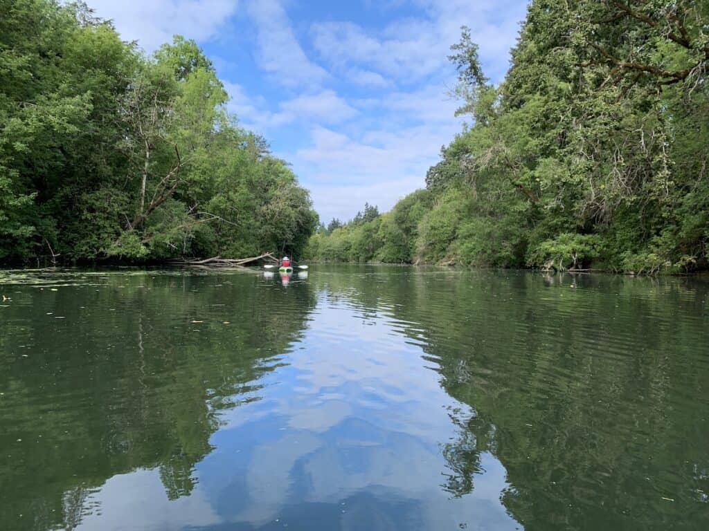 A kayaker paddles along the placid lower Tualatin River upstream from Cook Park in Tigard, with dense trees on either shoreline.