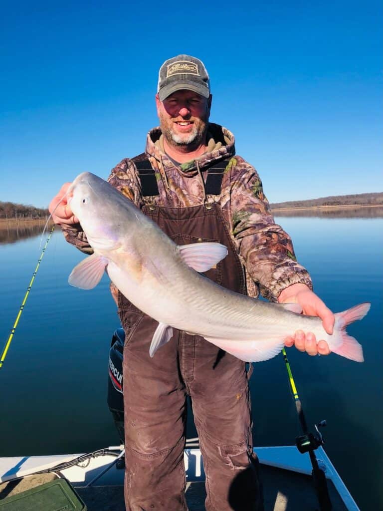 Angler on a boat wearing a hat holds up a very large catfish caught fishing at Truman Lake.