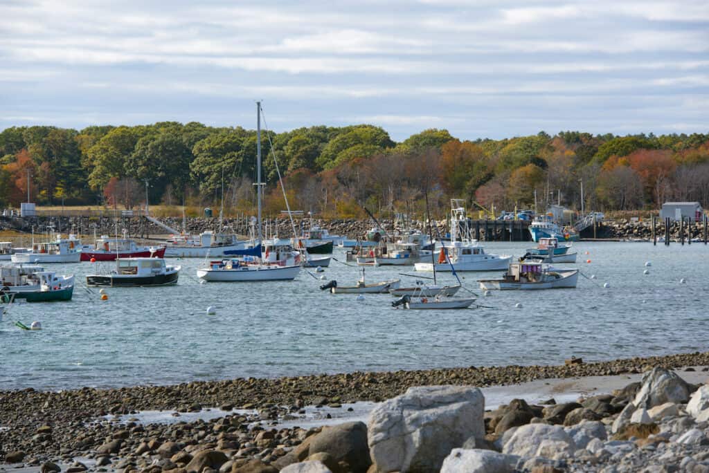 Fishing boats and other vessels at anchor in Rye Harbor, near where anglers cast for stripers.