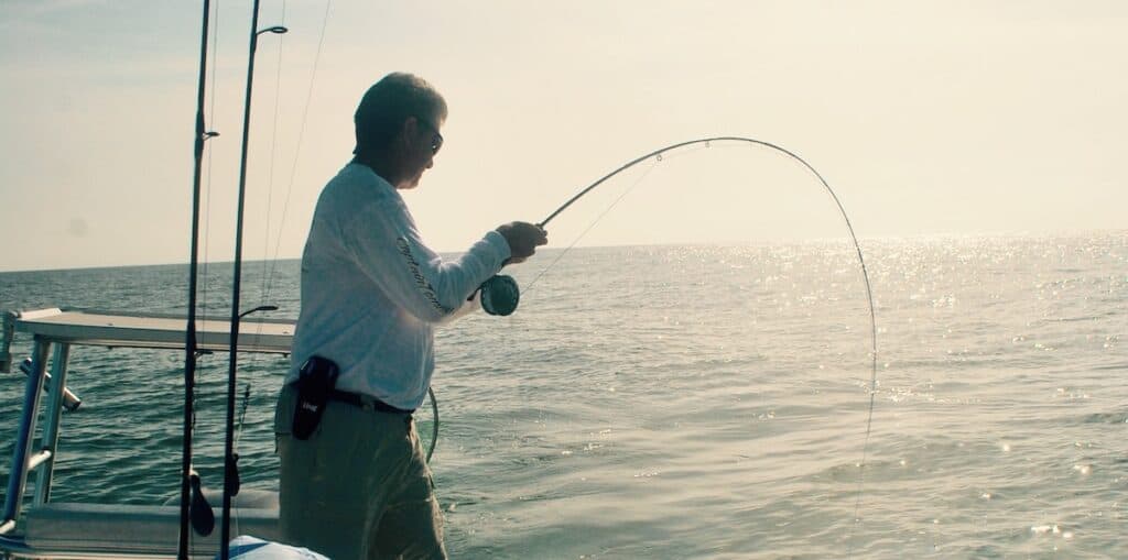 Chesapeake Bay Fishing Report Angler's Guide) Best Fishing