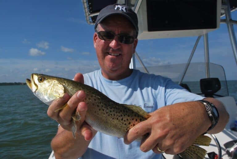 Chesapeake Bay Fishing Report Angler's Guide) Best Fishing