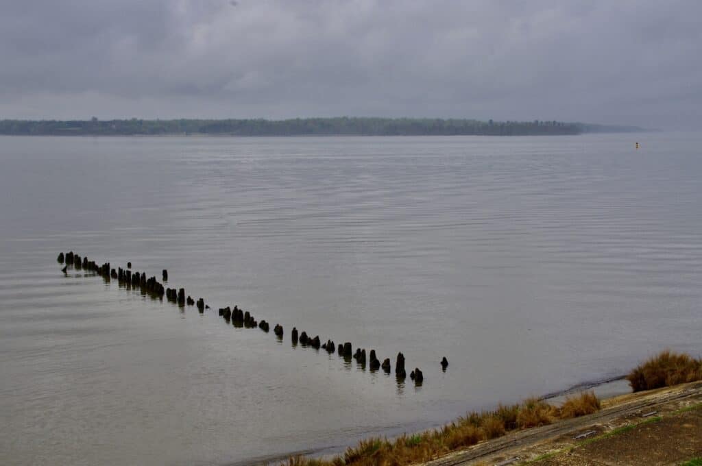 A row of old pilings stretches into the wide tidal portion of the James River in Virginia, an area popular for fishing for largemouth bass, stripers and blue catfish.