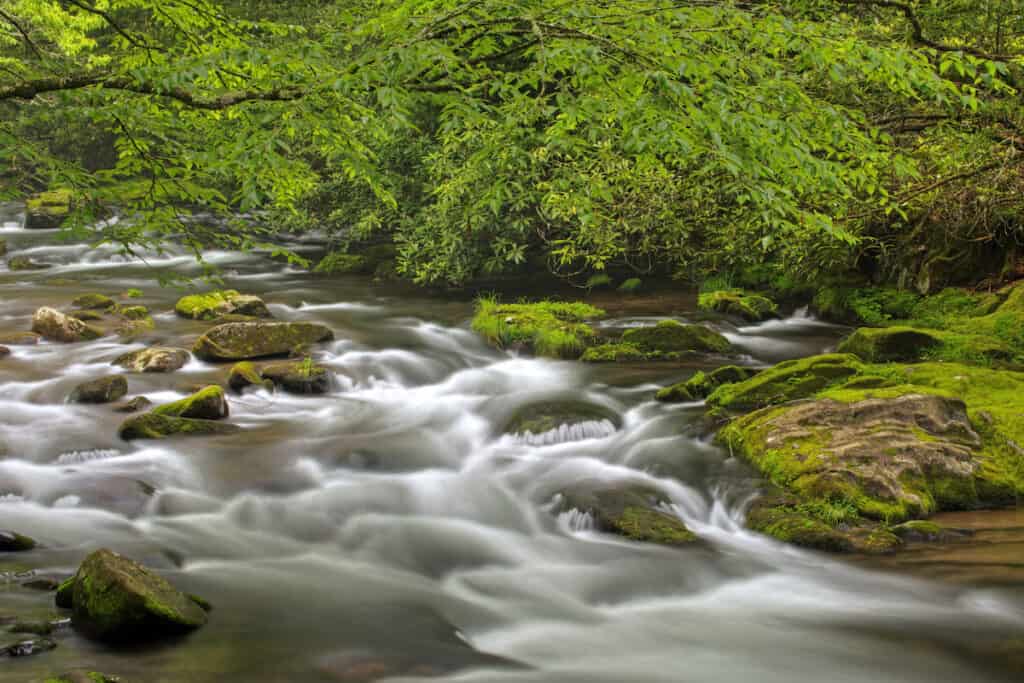 A time-elapse photo softens a rapids on the Oconaluftee River, framed by green tree branches.