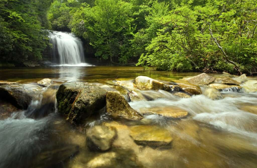 A small waterfall on Panthertown Creek flows into a pool and then down rapids among wet rocks.