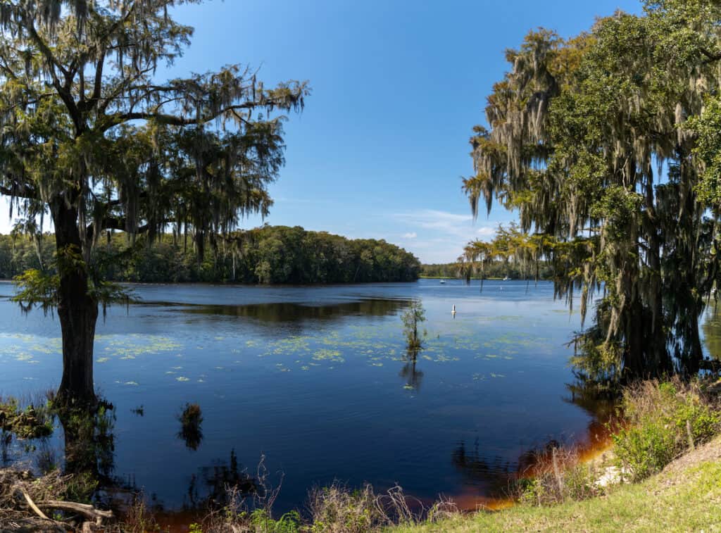 Landscape with live oak trees covered in Spanish moss on the Waccamaw River and Intracoastal Waterway in South Carolina.