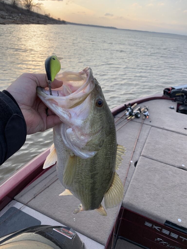 An angler's hand holds up a largemouth bass with a black and chartreuse crankbait lure in its mouth, with a boat and Lake Texoma in the background.