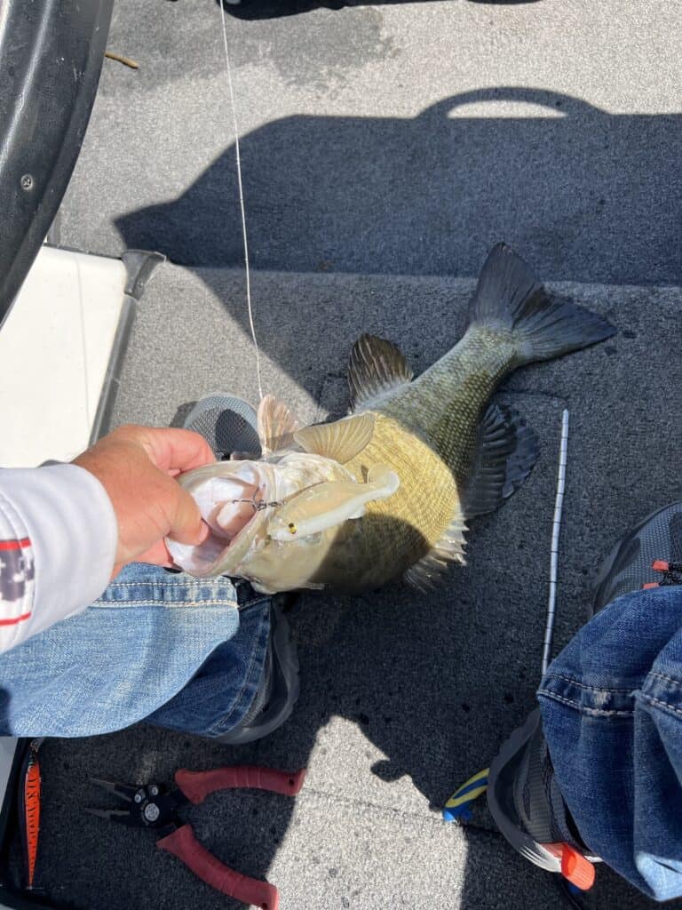 A smallmouth bass with a crankbait lure hooked in its mouth lays in the bottom of a boat for a photo before release. A man's hand holds the fish by the lips.