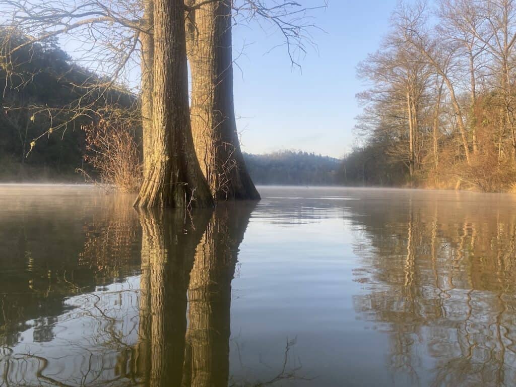 Trees stick out of the calm, foggy surface of Lower Mountain Fork River near Beavers Bend State Park in Oklahoma.