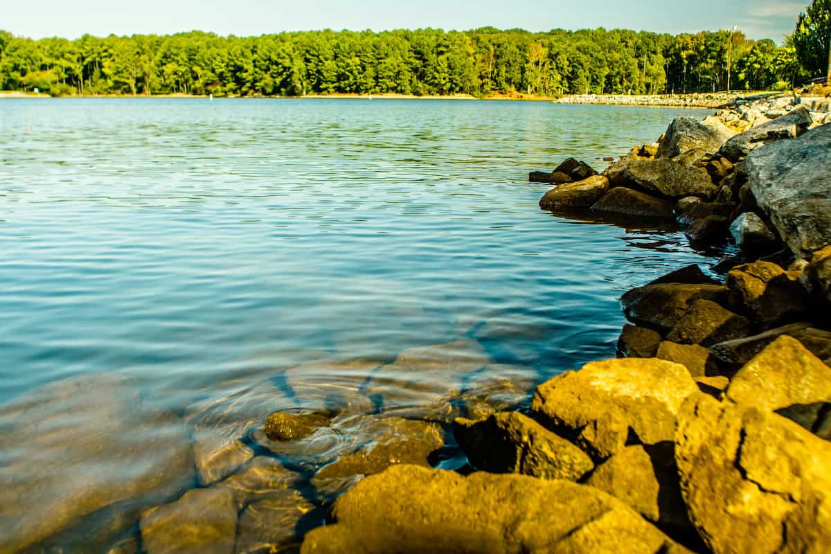 The rocky shoreline and quiet waters of Lake Murray, a great fishing lake in South Carolina.