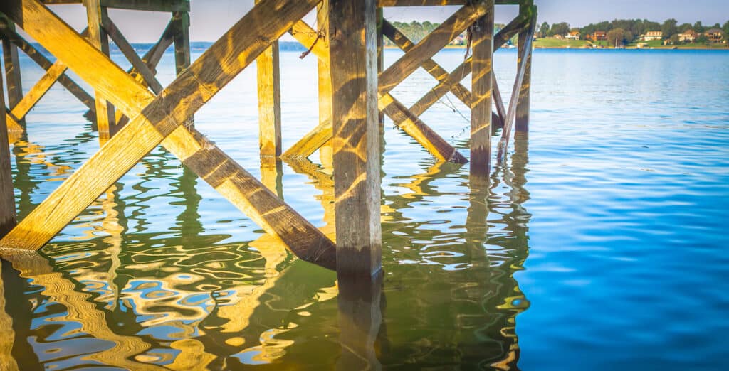 Pilings of a pier near the shore of Lake Murray, a perfect crappie spot in one of South Carolina's best fishing lakes.